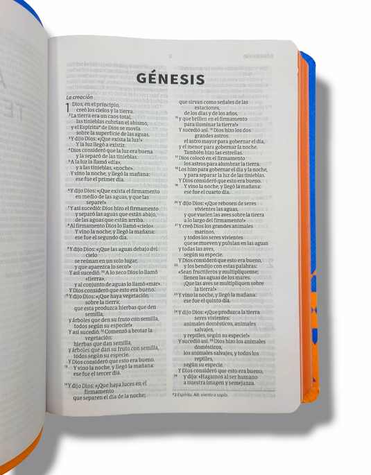 Santa Biblia NVI para regalos y premios, Símil piel océano y papaya