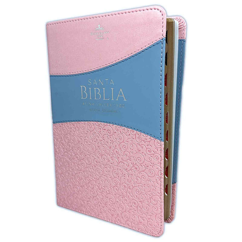 Cargue la imagen en el visor de la galería, Santa Biblia RVR 1960, Tamaño Manual, Letra Grande, i/piel rosa/azul con índice
