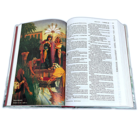 Santa Biblia para niños NTV (Tapa dura)