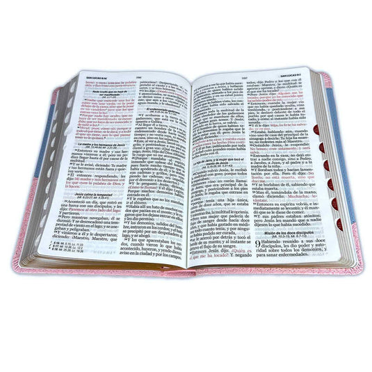 Santa Biblia RVR 1960, Tamaño Manual, Letra Grande, i/piel rosa/azul con índice