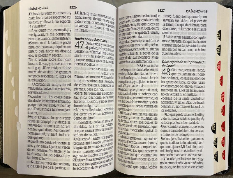 Cargue la imagen en el visor de la galería, Biblia RVR 1960, Letra Gigante, Piel fabricada negra
