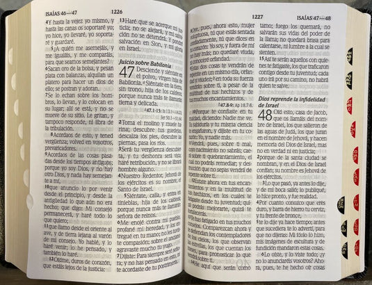 Biblia RVR 1960, Letra Gigante, Piel fabricada negra