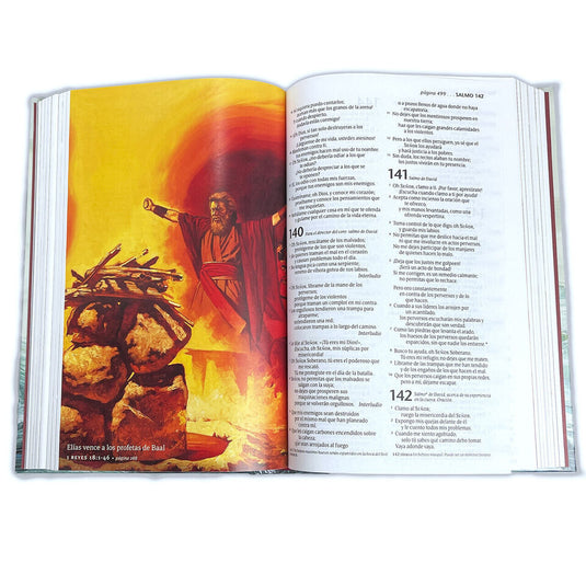 Santa Biblia para niños NTV (Tapa dura)