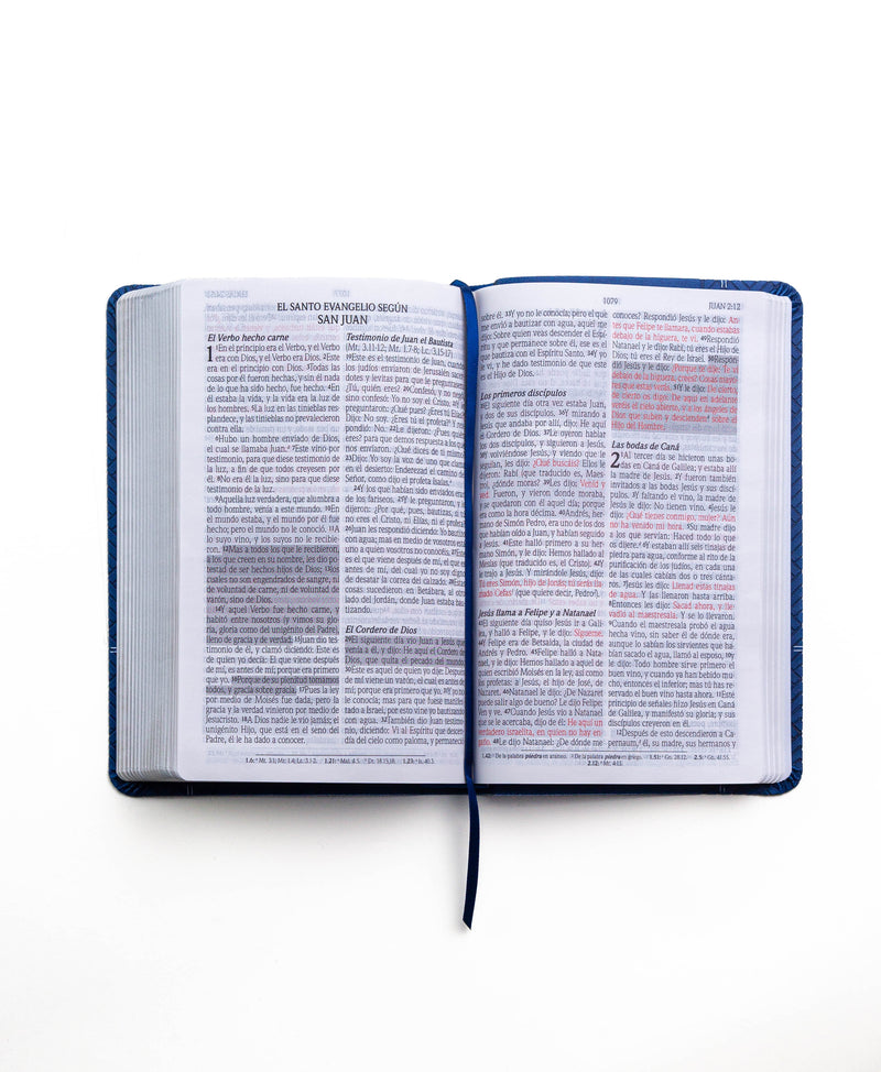 Cargue la imagen en el visor de la galería, Biblia de Promesas RVR 1960, Tamaño Manual, Letra Grande, piel especial azul
