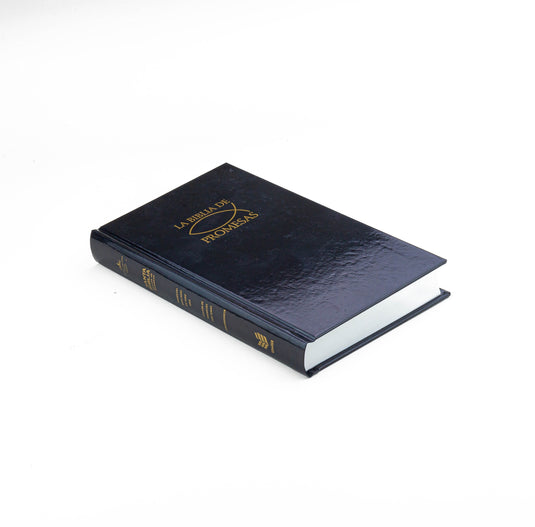 Biblia de Promesas RVR 1960, Tapa dura negra