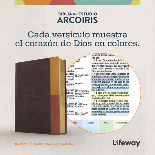 Biblia de Estudio Arcoíris RVR 1960, símil piel cocoa/ terracota