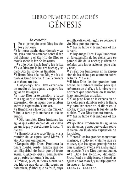 Biblia de bolsillo RVR 1960 para niñas, Cierre Zíper, imitación piel Princesa