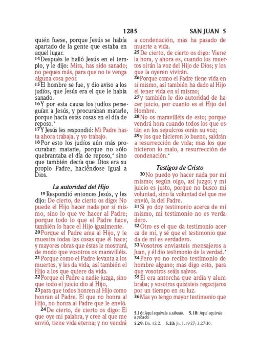 Biblia RVR 1960, Tamaño compacta, Letra Grande, imitación piel verde azulado flores