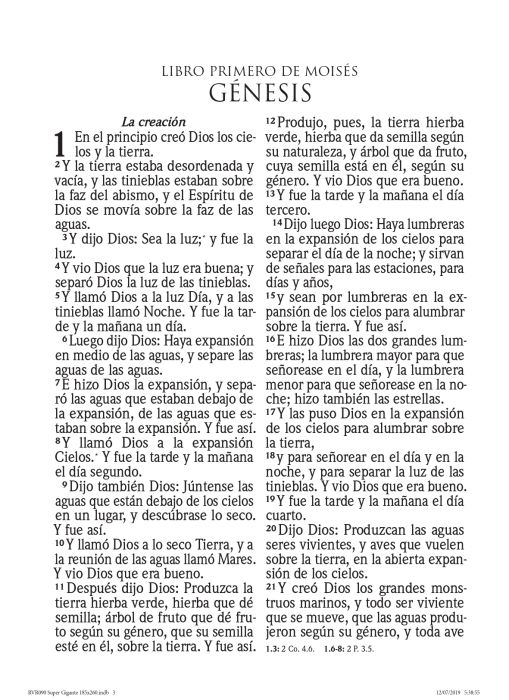 Cargue la imagen en el visor de la galería, Biblia RVR 1960, Letra Súper Gigante, imitación piel menta flores
