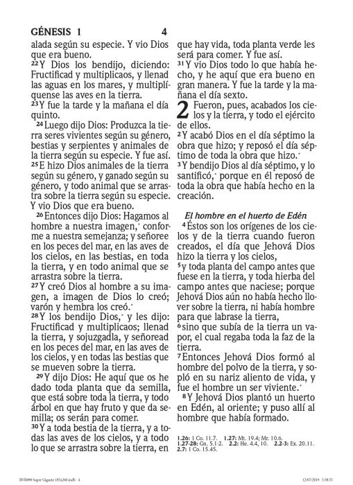 Biblia RVR 1960, Letra Súper Gigante, imitación piel lavanda flores