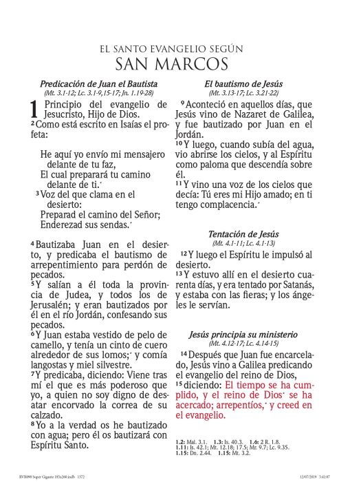 Cargue la imagen en el visor de la galería, Biblia RVR 1960, Letra Súper Gigante, imitación piel menta flores
