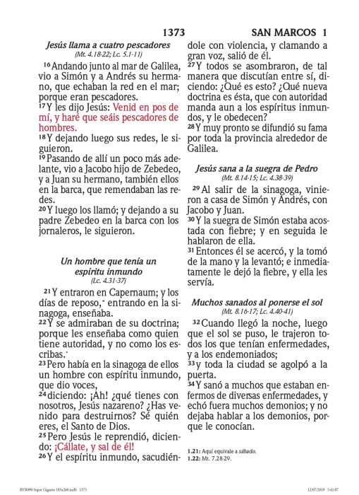 Cargue la imagen en el visor de la galería, Biblia RVR 1960, Letra Súper Gigante, imitación piel menta flores
