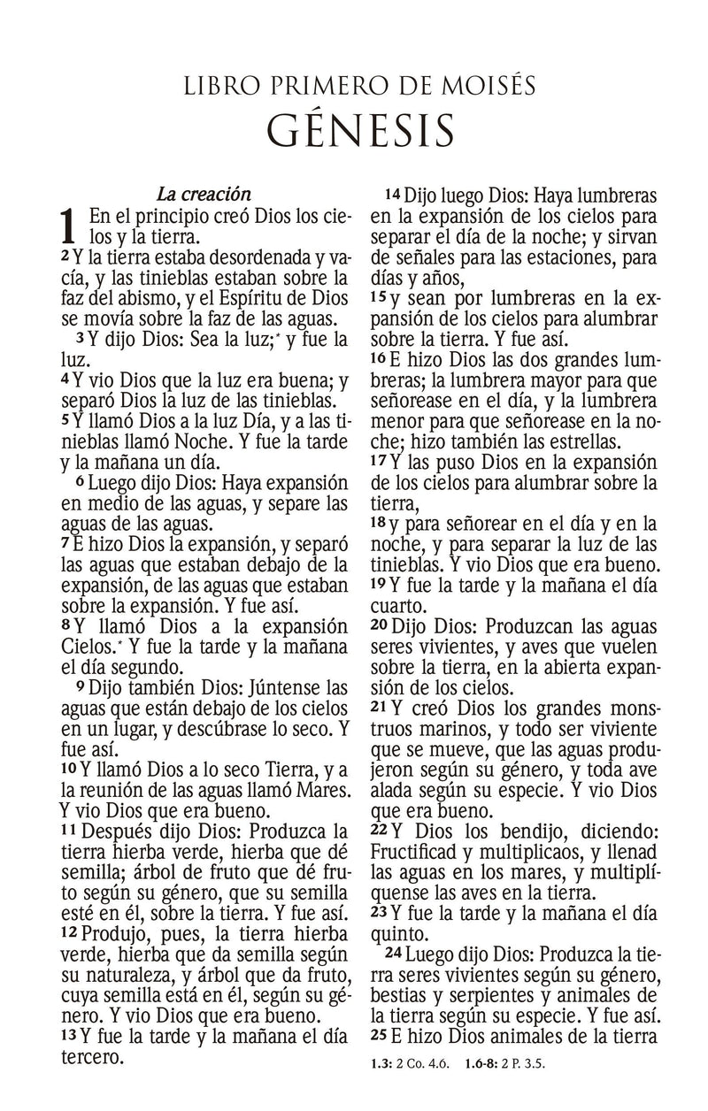 Cargue la imagen en el visor de la galería, Biblia RVR 1960, Tamaño manual, Cierre zíper, con índice, Letra Grande, imitación piel gris
