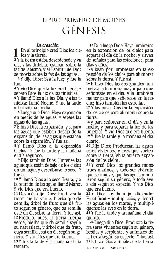 Biblia RVR 1960, Tamaño manual, Cierre zíper, con índice, Letra Grande, imitación piel gris