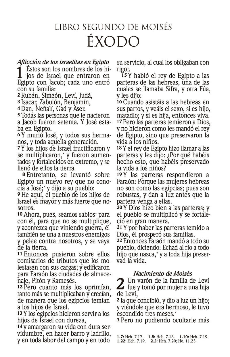 Cargue la imagen en el visor de la galería, Biblia RVR 1960, Tamaño manual, Cierre zíper, con índice, Letra Grande, imitación piel gris
