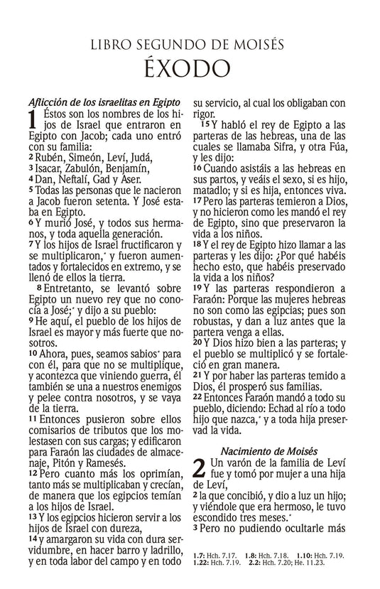Biblia RVR 1960, Tamaño manual, Cierre zíper, con índice, Letra Grande, imitación piel gris