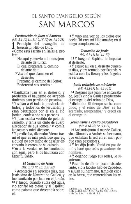 Cargue la imagen en el visor de la galería, Biblia RVR 1960, Tamaño manual, Cierre zíper, con índice, Letra Grande, imitación piel tonos azules
