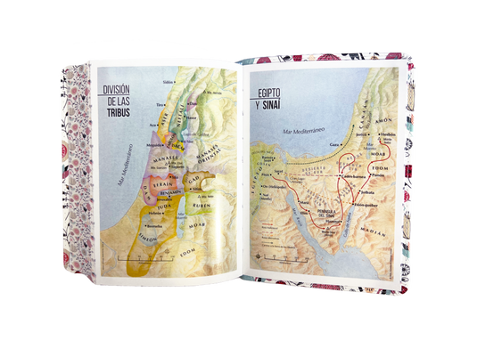 Biblia RVR 1960, Tamaño portátil, Letra Grande, imitación piel turquesa primaveral