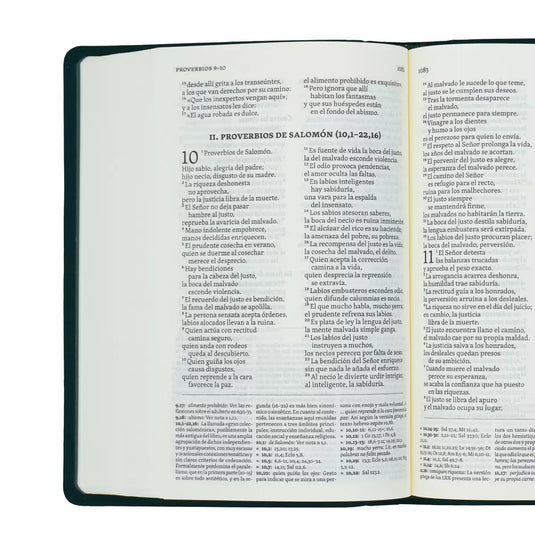 Biblia Hispanoamericana edición de estudio (color verde)