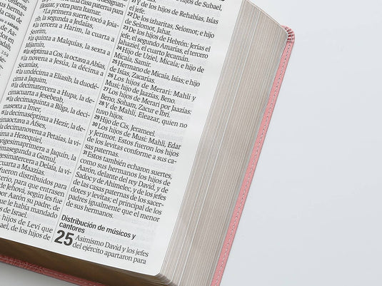 Biblia RVR 1960, Letra Súper Gigante, imitación piel rosada